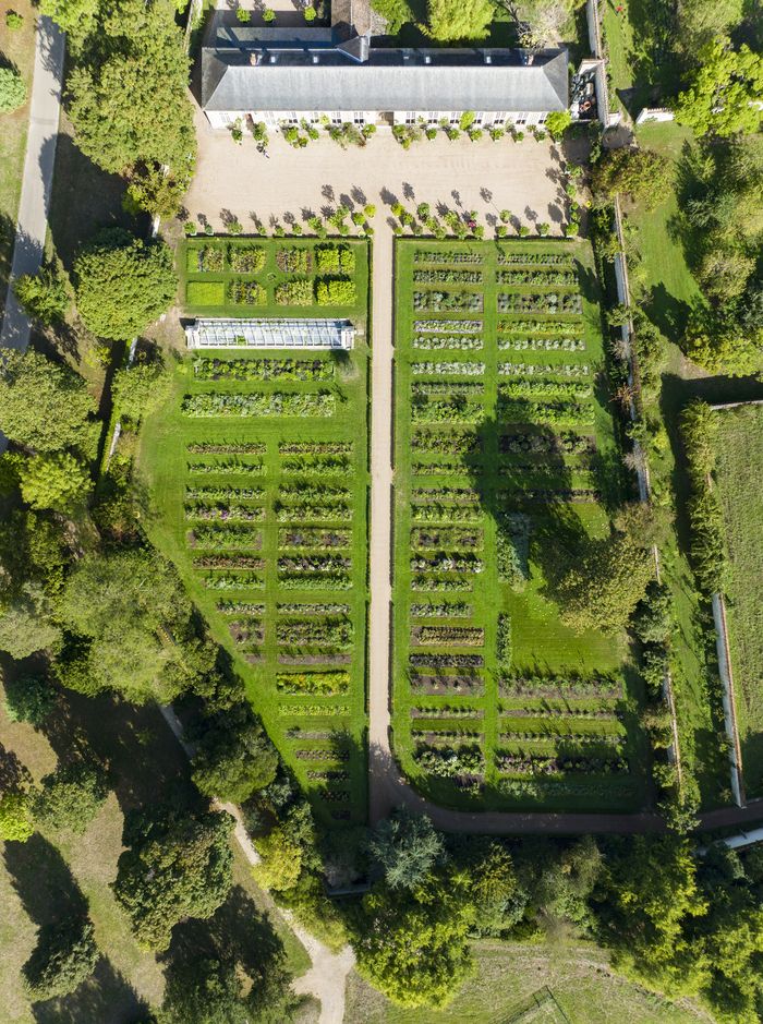 Im Schloss Versailles wird der 2023 eröffnete Jardin du Parfumeur gefeiert. Es befindet sich in der Orangerie von Châteauneuf im Herzen der Domaine de Trianon und erinnert an die Geschichte des...