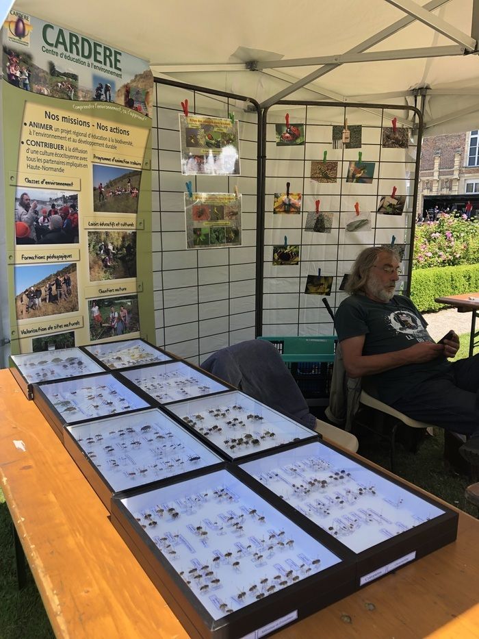 Der Verein Cardère bietet an, die Insekten des Parks und des Schlossgartens bei einem Spaziergang zu entdecken: Beobachtungen, Identifizierung, Rolle der Insekten. Auf dem Stand können Sie die Aktione