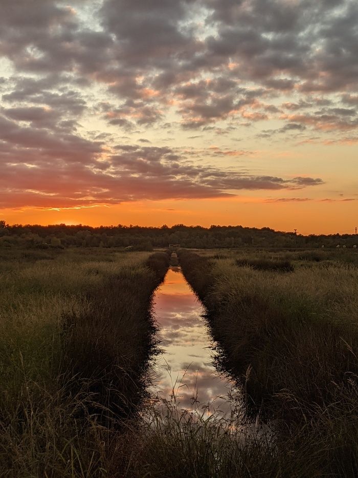 A Majolan, la Jalle délaisse sur quelques hectares son identité de rivière et se transforme en une série de plans d’eau au cœur d’un parc Romantique.