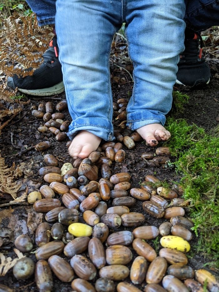 Atelier d’éveil sensoriel à la nature pour les moins de 3 ans.