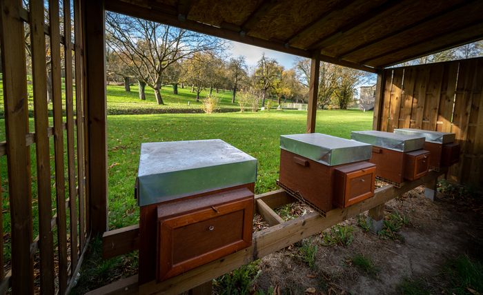 Entdecken Sie die Bienenstöcke der Mühle von Ferrières!