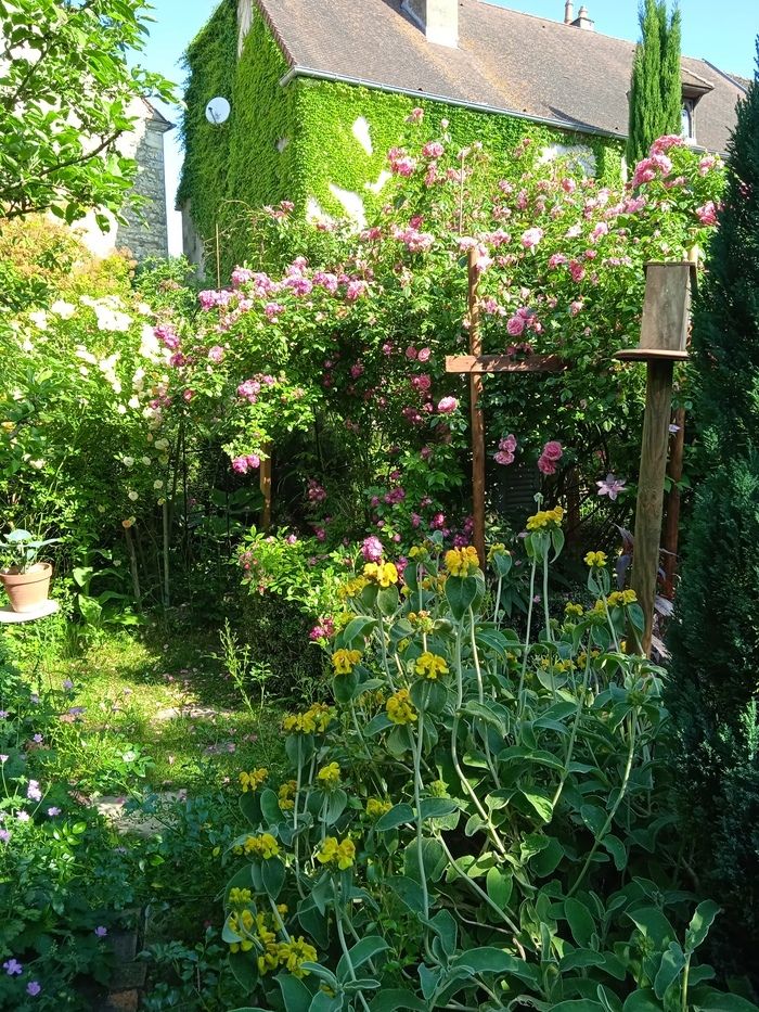 Der Garten der 7 ist schön, duftend, blumig, gemischt, romantisch, wild und poetisch. Es hat einen Gemüsegarten, Teiche, ein Labyrinth von Rosen und schönen Exoten. Nichts fehlt!