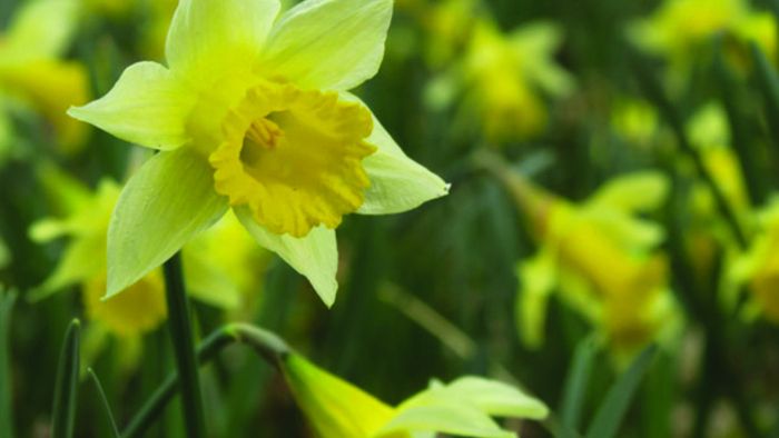 Une rencontre exceptionnelle pour découvrir la faune et la flore de notre région