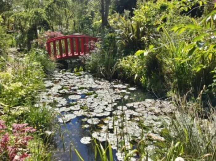 Besuch des botanischen Gartens, Animationen, um die fünf Sinne.