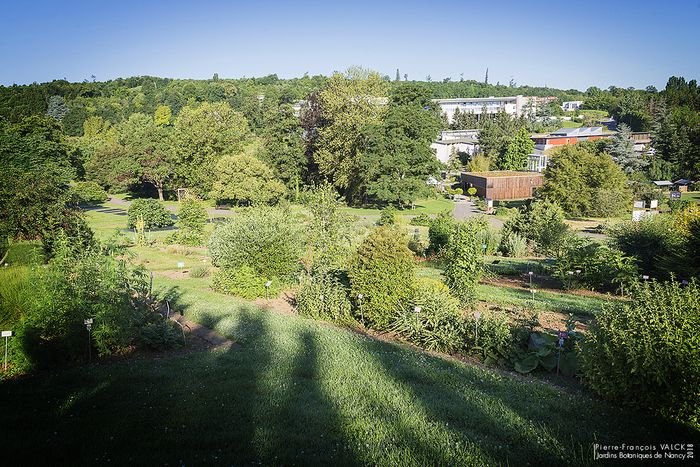 Auf einer Sinnesreise durch den Park des Botanischen Gartens können Sie Ihre fünf Sinne wecken, um dem Garten zuzuhören.