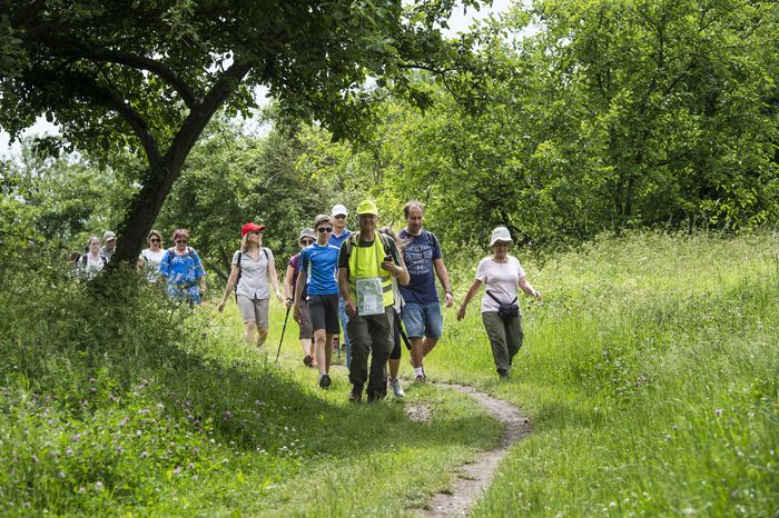 Um sportliche Aktivitäten mit der Entdeckung kultureller Orte zu verbinden, ist das Publikum zu einer Wanderung zwischen fünf Orten des Kulturtals eingeladen. In Begleitung eines Sporttrainers wird di