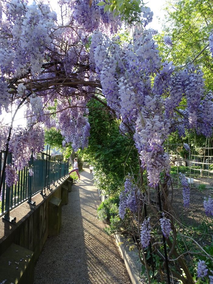 Der Garten der Stummen öffnet seine Tür für Besucher und Besucher der Termine im Garten! Die Gärtner und Gärtner werden da sein, um die bescheidenen und kreativen Wunder von ...