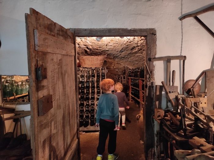 Installée dans une ferme haut-marnaise traditionnelle, la « Ferme d'antan » est un lieu dédié à la vie rurale d'autrefois. La visite conte l'histoire, les gestes et la vie quotidienne de cette époque…