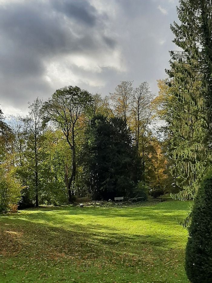 Gruppenfahrt im Wald von Berles zur (Wieder-) Entdeckung der fünf Sinne unter der Leitung von Frau Mélanie LARDEUR