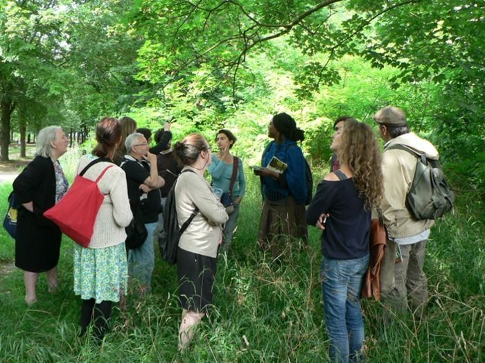 Venez découvrir les plantes sauvages d'Ile-de-France le temps d'une balade dans le parc des Beaumonts