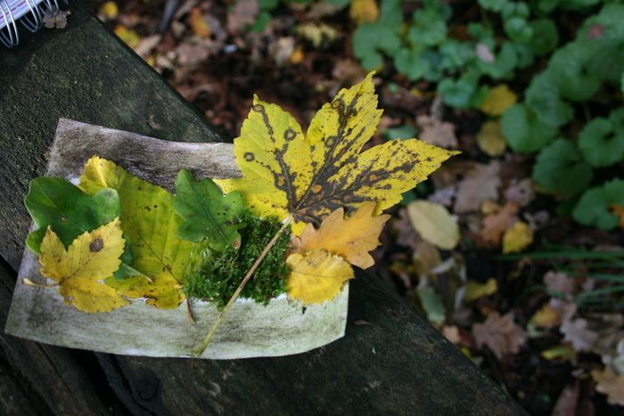 Venez découvrir la biodiversité du parcs : plantes et petites bêtes n'auront plus de secrets pour nous..