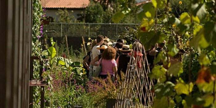 Die Gärten des Museums öffnen ihre Türen für die 21\. Ausgabe der «Rendez-vous aux Jardins», die dieses Jahr zum Thema der fünf Sinne sein wird. Lassen Sie sich von der Symphonie de Couleu...