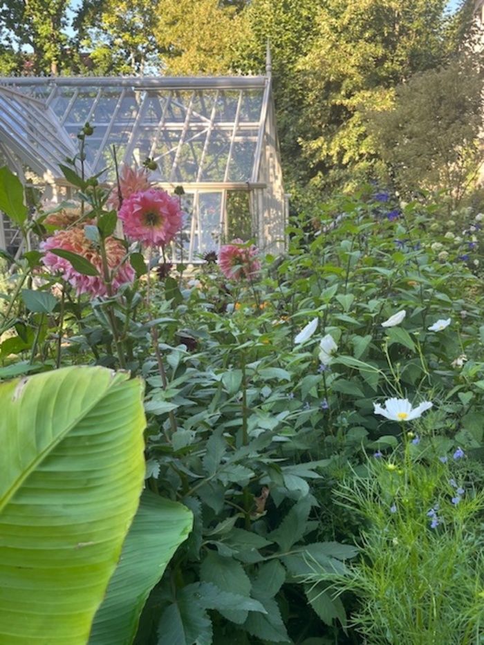 Innenstadtgarten anno 1909, in natürlicher Unordnung, eingefasst mit Stein- und Betonmauern, mit geschütztem Mikroklima.