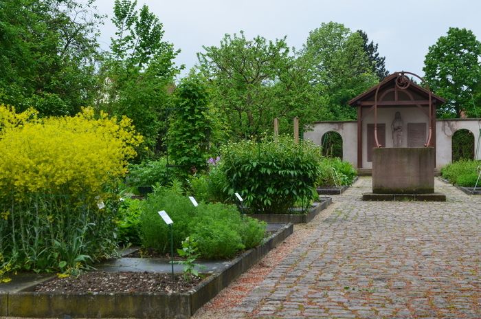 Machen Sie Fußabdrücke von Gartenpflanzen auf Papier, mit Hilfe von fettiger Kreide.