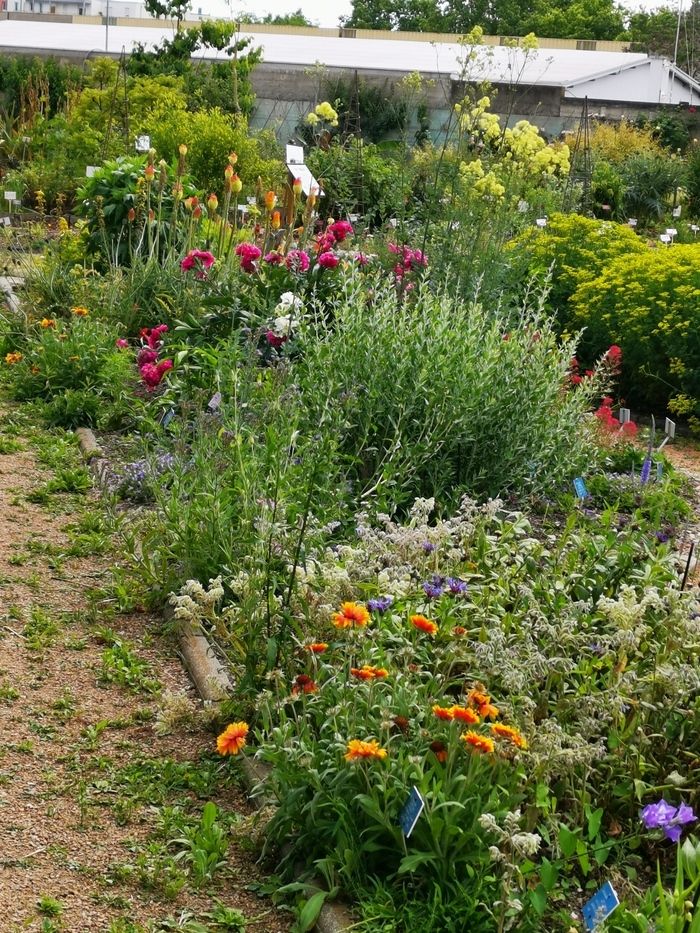 Entdecken Sie die 3000 Pflanzenarten des botanischen Gartens, die verschiedenen Sammlungen...