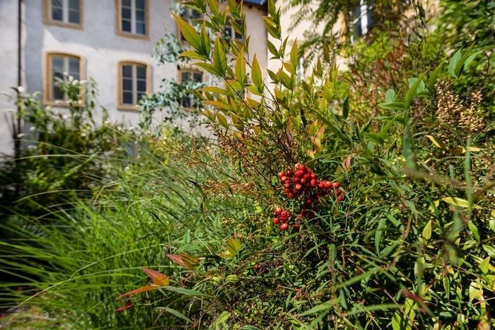 Am 1\. und 2\. Juni feiert Frac Lorraine seinen 20\. Geburtstag! Es ist eine Gelegenheit, den von der Künstlerin Liliana Motta entworfenen Garten und seine außergewöhnlichen Pflanzen (wieder) zu entde