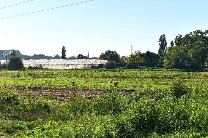 Parc des Jalles - Atelier Découverte du maraîchage au Potager à Laville et Fraisiflor animé par Ecoacteurs en Médoc