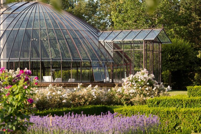 Besuchen Sie die Gärten und entdecken Sie den Garten der Borde in Leugny mit Ihren fünf Sinnen! Bewundern Sie im Rosengarten die Farben der Rosen, riechen Sie ihren Duft, lauschen Sie dem Summen...