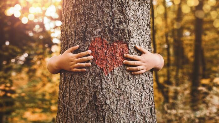 Anlässlich der Rendez-vous aux jardins 2024 bietet die Firma «Ich erzähle dir Pas» ein Spektakel, das eine Liebeserklärung an Bäume und die Natur ist.