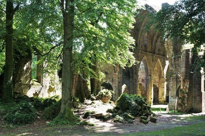 Partez visiter ce patrimoine cistercien, fondé il y a 900 ans par Bernard de Clairvaux.