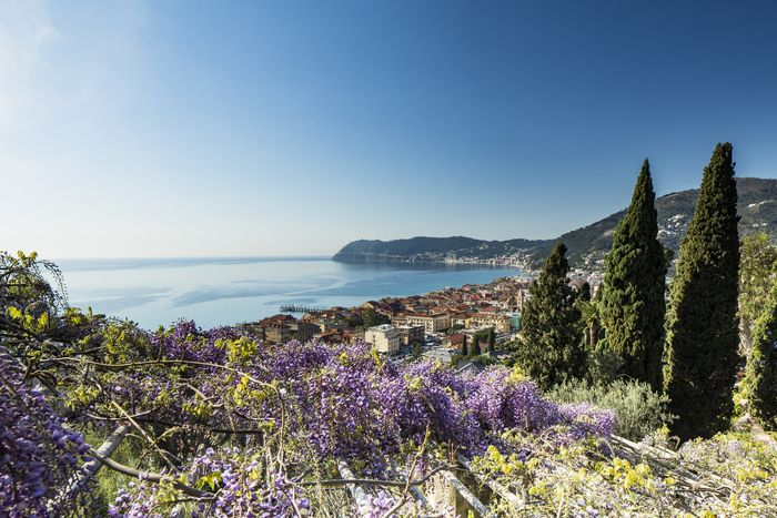 Discovering the botanical collections and the history of the Gardens of Villa della Pergola, winners of the "Most Beautiful Park in Italy"