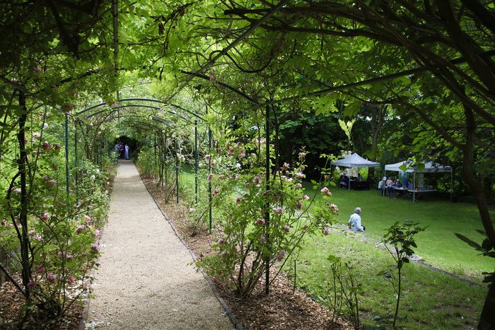 Ein Spaziergang durch den Garten des Museums, um seine verschiedenen Arten mit seinen verschiedenen Sinnen zu entdecken.