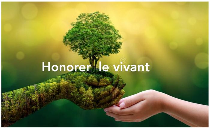 Honorer le vivant c'est d'abord honorer notre corps puis honorer le mouvement qui est le principe de vie.