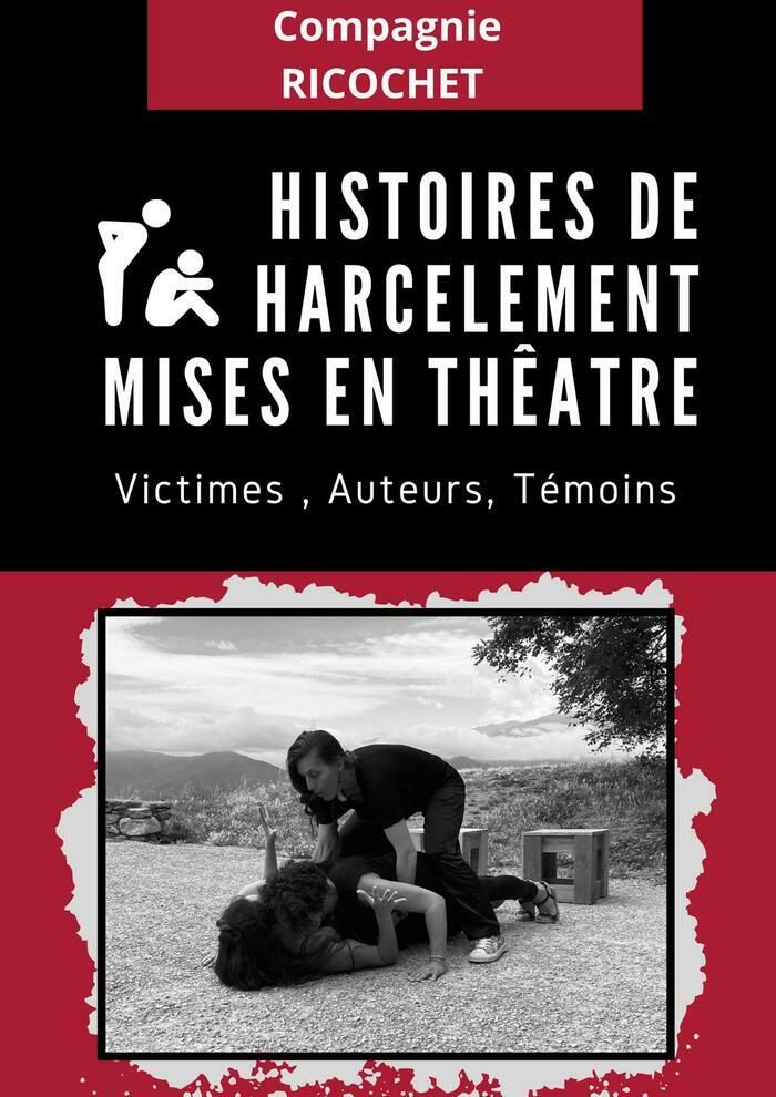 Le samedi 7 décembre 18h30, au Cinéma Le Castillet, à Perpignan, sortira le film rassemblant nos interviews et réponses théâtrales sur le thème du harcèlement scolaire.