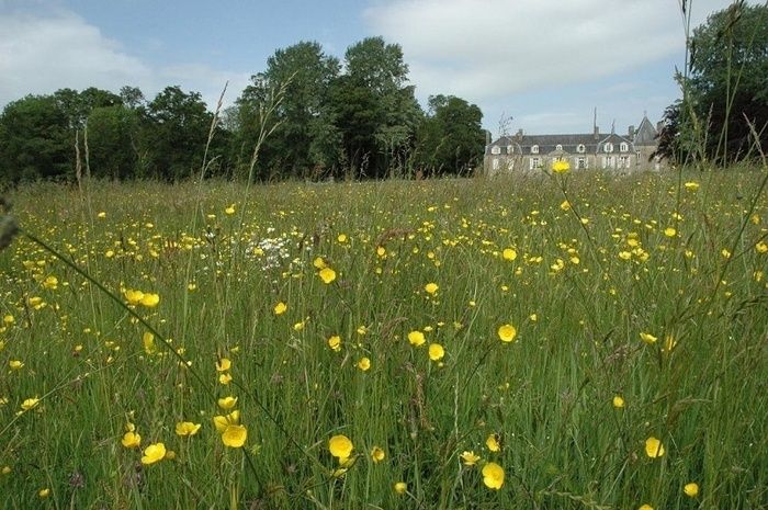 Öffnen(Entdecken) Sie verschiedene thematische Gärten des Parks: Garten freimaurerischer Inspiration, Garten des empfindlichen Menschen(Mannes), Restaurierung der mittelalterlichen Terrassen.