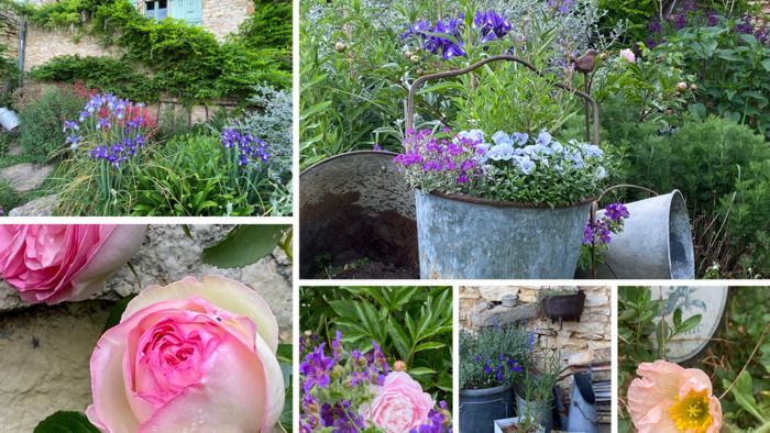 Elodie und Patrick empfangen Sie in ihrem privaten Garten anlässlich der «Rendez-vous aux jardins 2024». Sie sind eingeladen, zwischen Rosen, Pfingstrosen oder mehreren Stauden zu wandern...