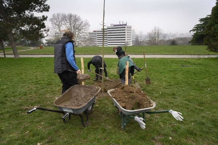 La Société Régionale d'Horticulture de Montreuil vous accueillera pour tout vous raconter sur les arbres et leurs besoins pour grandir en pleine santé !