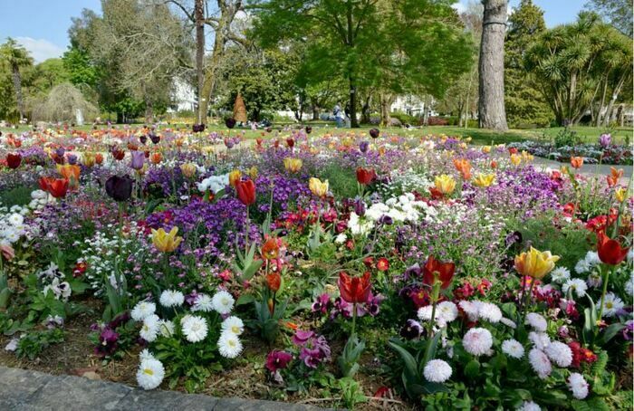 Der Jardin des Plantes wurde 1886 von dem Landschaftsarchitekten François Aubry angelegt. Entdecken Sie bei einem kommentierten Spaziergang die Geschichte des Gartens, seinen Platz in der Stadt und se