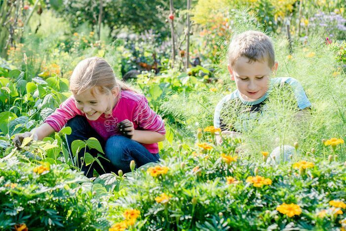 Wellnessprogramm und Gartenerkundung: Während die Erwachsenen beim Yoga auf der Wiese entspannen, erschließen sich die Kinder die Geheimnisse des Gartens beim Sinnesbingo.