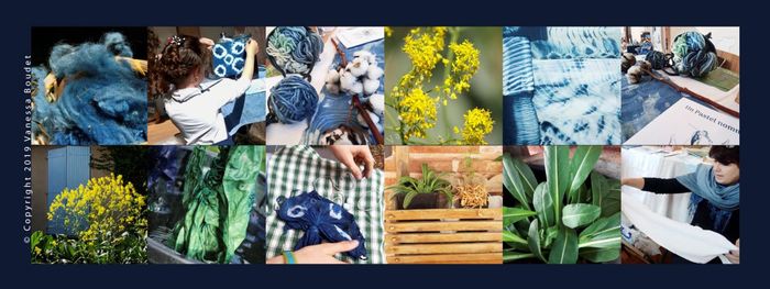 Le pastel fait partie du patrimoine de la Haute-Garonne. Vanessa Boudet, spécialiste de cette plante et de ses usages, vous proposent d’en percer les secrets et de voyager avec elle à sa découverte…