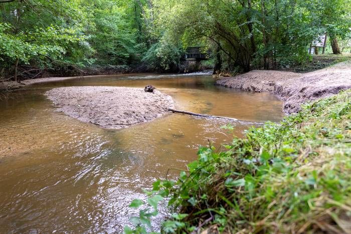 Parc des Jalles - Balade-découverte « au fil de l’eau »  animée par l'Ecosite du Bourgailh