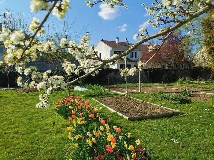 Der Besuch des Gartens betont mindestens die 4 Sinne und zeigt Blätter, die man berühren kann, Blumen, die man essen kann, und natürlich Blumen mit schönen Gerüchen.