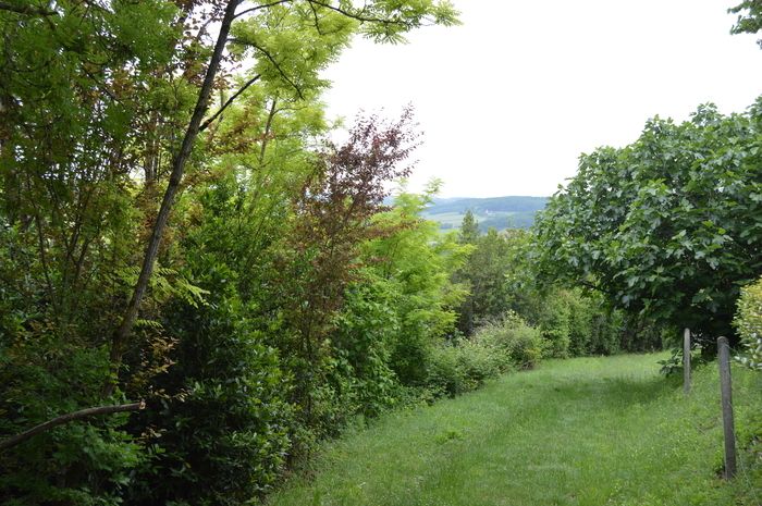 Ein sinnlicher Spaziergang, um das Tal der Mail in Pujols in Partnerschaft mit dem CPIE Pays de Serres-Vallée du Lot zu spüren.