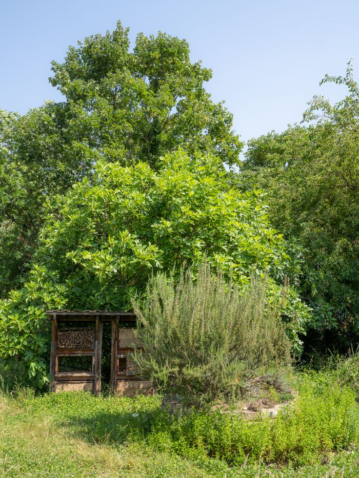 Ehemaliger Park des bürgerlichen Hauses (19\. - Anfang 20\. Jahrhundert), der später in eine Cressoniere umgewandelt wurde, ist dieser Raum seit der Aufgabe seines Betriebs wieder ein Feuchtgebiet mit