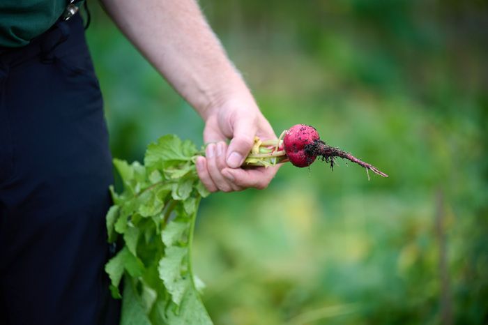 Kinderprogramm mit der Sparkassenstiftung Ostholstein und 
Marktstand & Gespräche über den Gartenzaun mit den Ehrenamtlichen im Küchengarten.