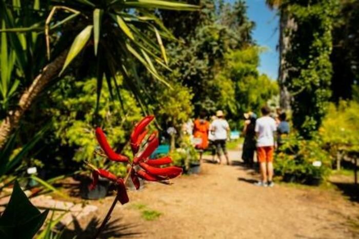 Freier und/oder kommentierter Besuch des Feng Shui Gartens und des Blumenparks der 5 Kontinente.