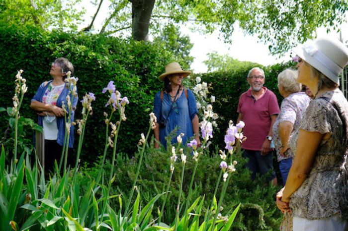 Diskreter Garten mit Blick auf Forcalquier, reich an verschiedenen Räumen, die den Töpfereien des Ateliers du Mille Pattes dienen. Ich schlage Ihnen jeden Tag um 10.30 und 15.00 Uhr eine kommentierte