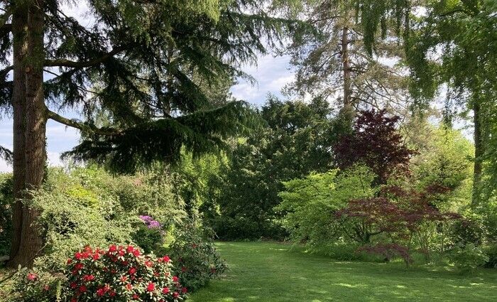 Entdecken Sie einen 3000 m² großen Garten, in dem Sträucher und Stauden an den Füßen von manchmal hundertjährigen Bäumen Platz nehmen, und spazieren Sie zum Gemüsegarten und Obstgarten, um andere Räum