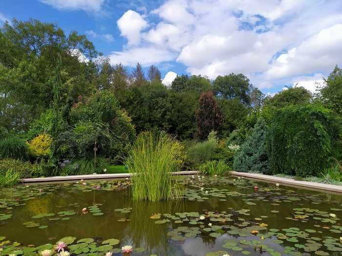 Freier Besuch des Parks "Reflexionen des Gartens". Es ist ein Garten von 5000 m2, bestehend aus 2000 verschiedenen Pflanzen aus fünf Kontinenten. Ein Vergnügen für Spaziergänger, Pflanzenliebhaber ode