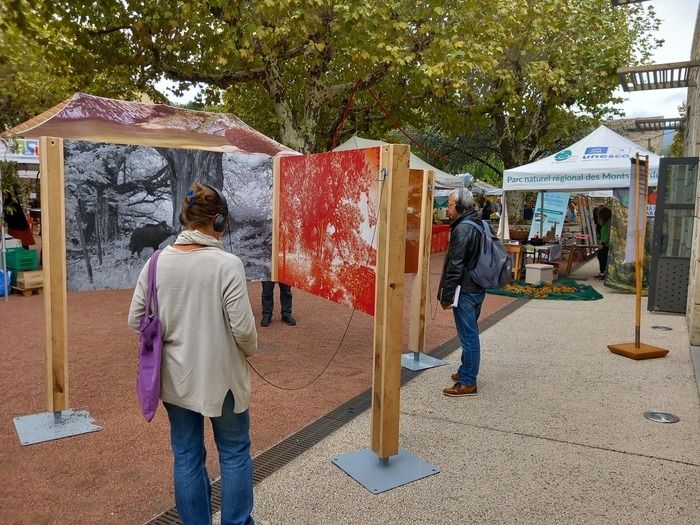 Foto-Ton Ausstellung