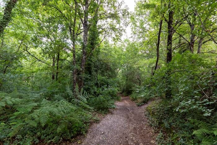 Parc des Jalles - Balade-découverte « l’écosystème forestier »  animée par l'Ecosite du Bourgailh