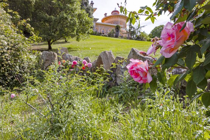 Schon der Besuch im Garten ist ein intensives Sinneserlebnis. Während wir gehen, sind wir nicht gleichgültig gegenüber den Klängen, Gerüchen, Farben und Texturen, die uns umgeben... Das Rauschen des …