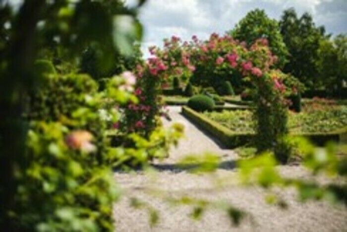 Konzert und Lesung zwischen duftenden Rosen