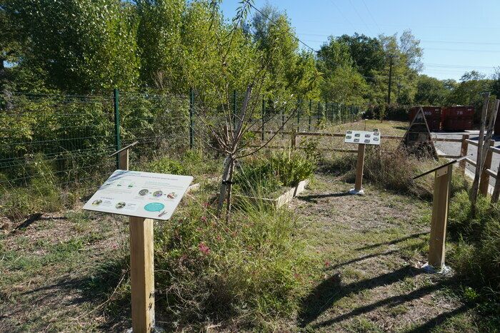 Anhand konkreter Beispiele erfahren Sie, wie Sie Ihre Grünabfälle für eine 100% natürliche Gartenarbeit verwerten und so Ihren Abfall reduzieren können.