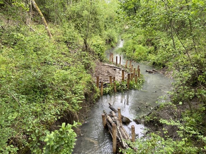 Entdeckung der Biodiversität des Natura-2000-Gebiets an der Asse mit der Mischgewerkschaft Asse Bléone