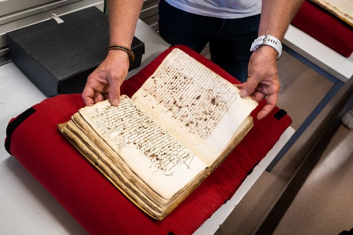 Plongez au cœur des Archives et accédez aux magasins de conservation habituellement fermés au public pour découvrir des documents sélectionnés sur dix siècles d'histoire de notre département.